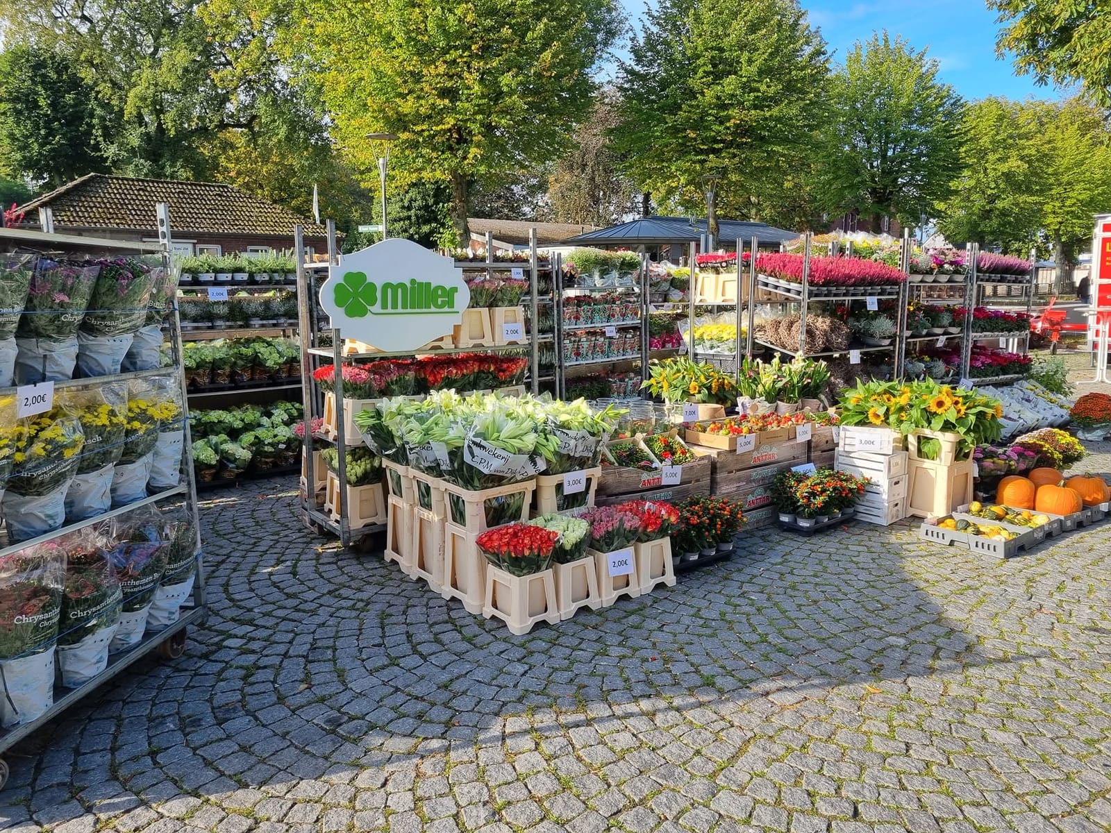 Blumenmarkt vor dem Laden unter dem Miller-Schild