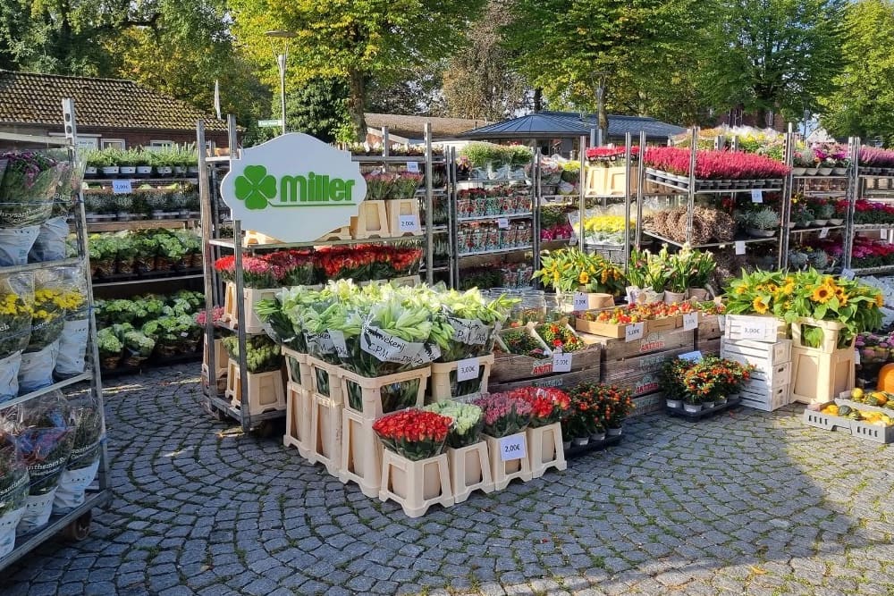 Verkaufsstand vor dem Laden mit Rollwagen voller Blumen, Heide und Topfpflanzen unter dem Miller-Schild